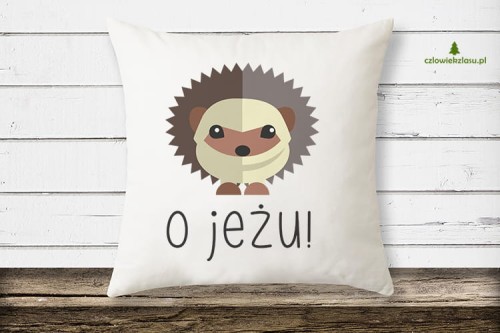 O JEŻU - Jeż - Poduszka z jeżem - Poduszka