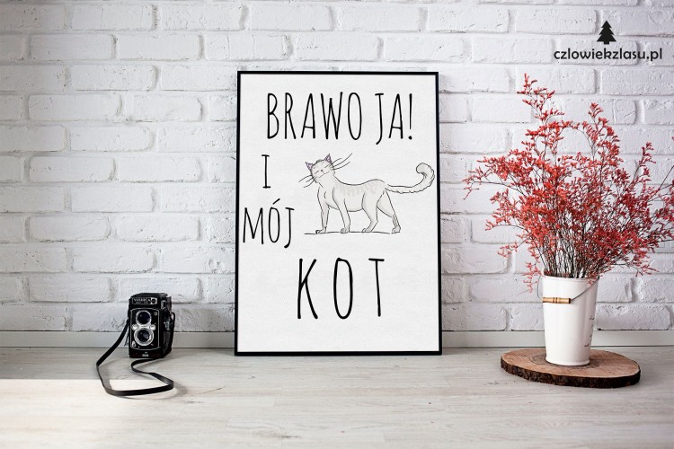 Brawo ja i mój kot plakat.jpg