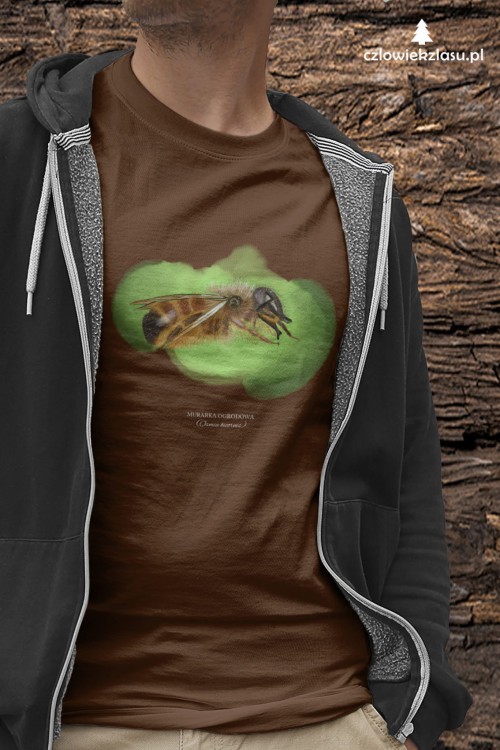 Murarka ogrodowa /Osmia bicornis/ - prezent dla Entomologa - Prezent dla Pszczelarza - Koszulka damska / męska