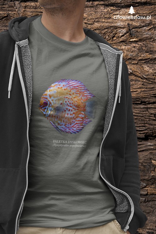 Paletka dyskowiec /Symphysodon discus/ - Ryba - prezent dla akwarysty – Prezent dla akwarystki - Akwarystyka - Koszulka