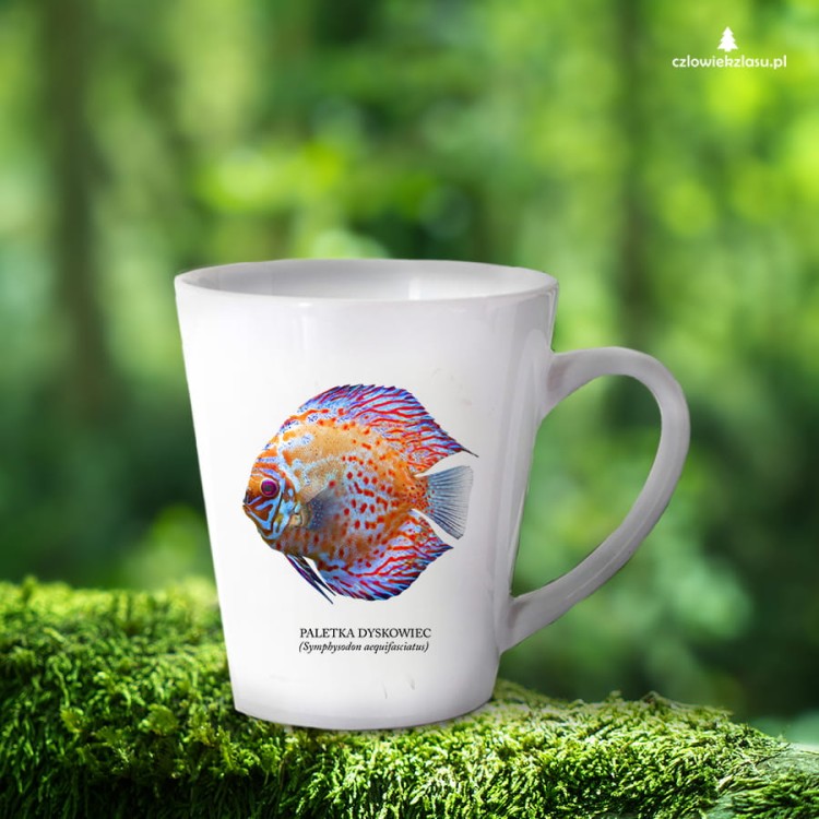 Paletka dyskowiec /Symphysodon discus/ - Ryba - prezent dla akwarysty – Prezent dla akwarystki - Akwarystyka - Kubek latte