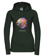Paletka dyskowiec /Symphysodon discus/ - Ryba - prezent dla akwarysty – Prezent dla akwarystki - Akwarystyka - Bluza