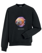 Paletka dyskowiec /Symphysodon discus/ - Ryba - prezent dla akwarysty – Prezent dla akwarystki - Akwarystyka - Bluza