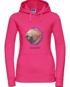 Paletka dyskowiec /Symphysodon discus/ - Ryba - prezent dla akwarysty – Prezent dla akwarystki - Akwarystyka - Bluza
