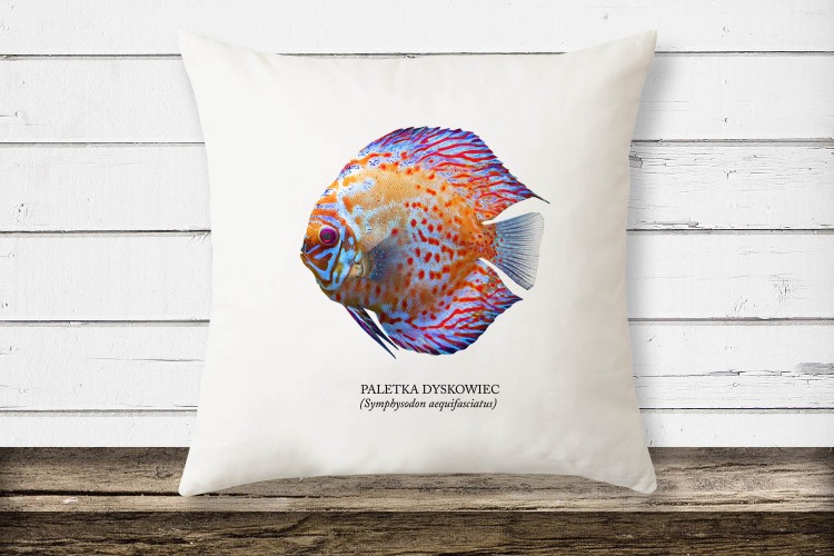 Paletka dyskowiec /Symphysodon discus/ - Ryba - Prezent dla akwarysty – Prezent dla akwarystki - Akwarystyka - Poduszka