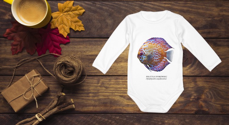 Paletka dyskowiec /Symphysodon discus/ - Ryba - Prezent dla akwarysty – Prezent dla akwarystki - Akwarystyka - Body - Bodziak