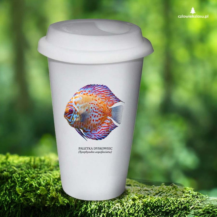 Paletka dyskowiec /Symphysodon discus/ - Ryba - Prezent dla akwarysty – Prezent dla akwarystki - Akwarystyka - Tumbler