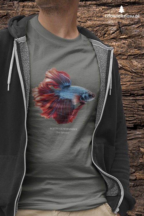 Bojownik wspaniały /Betta splendens/ - Ryba – Prezent dla akwarysty - Prezent dla akwarystki - Akwarystyka - Koszulka