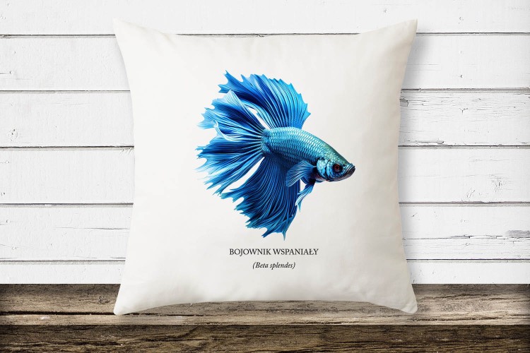Bojownik wspaniały /Betta splendens/ - Ryba – Prezent dla akwarysty - Prezent dla akwarystki - Akwarystyka - Poduszka - Bojownik niebieski