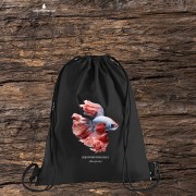 Bojownik wspaniały /Betta splendens/ - Ryba – Prezent dla akwarysty - Prezent dla akwarystki - Akwarystyka - Worek-Plecak