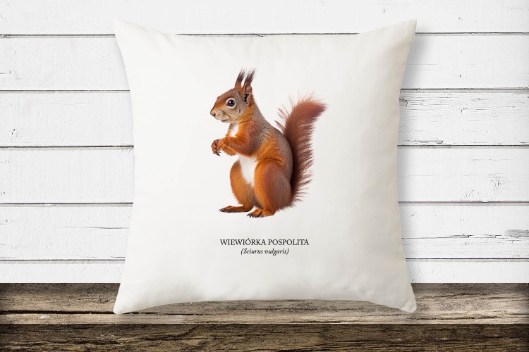 Wiewiórka pospolita - Sciurus vulgaris - Wiewiórka - Prezent dla przyrodnika - Prezent dla przyrodniczki - Poduszka
