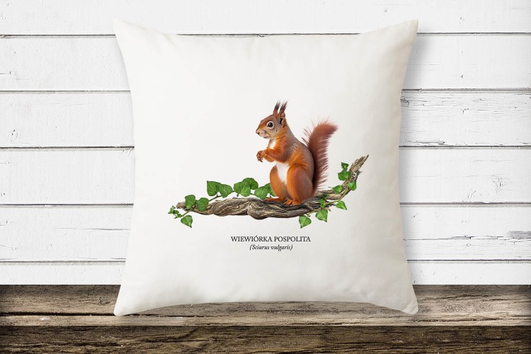 Wiewiórka pospolita - Sciurus vulgaris - Wiewiórka - Prezent dla przyrodnika - Prezent dla przyrodniczki - Poduszka #2