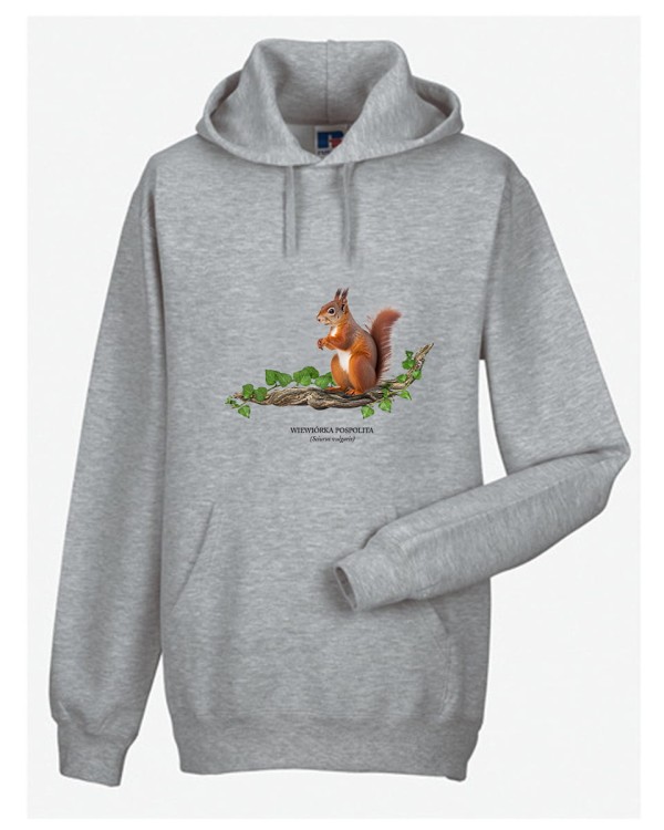 Wiewiórka pospolita - Sciurus vulgaris - Wiewiórka - Prezent dla przyrodnika - Prezent dla przyrodniczki - Bluza