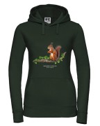 Wiewiórka pospolita - Sciurus vulgaris - Wiewiórka - Prezent dla przyrodnika - Prezent dla przyrodniczki - Bluza