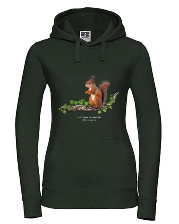 Wiewiórka pospolita - Sciurus vulgaris - Wiewiórka - Prezent dla przyrodnika - Prezent dla przyrodniczki - Bluza