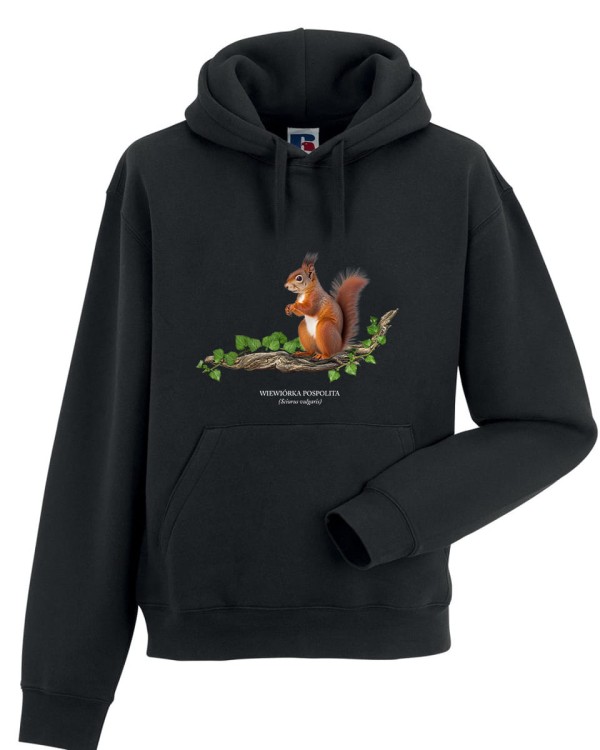 Wiewiórka pospolita - Sciurus vulgaris - Wiewiórka - Prezent dla przyrodnika - Prezent dla przyrodniczki - Bluza