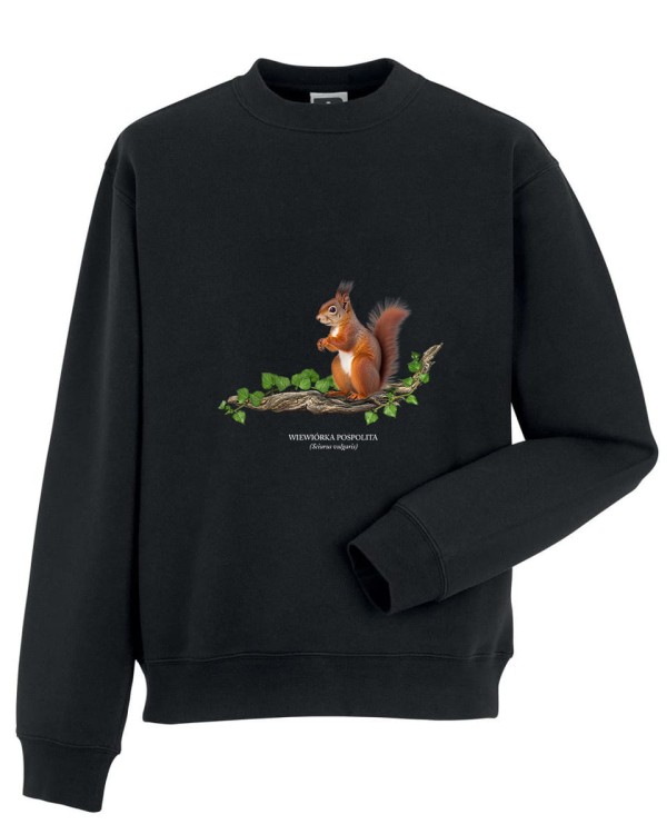 Wiewiórka pospolita - Sciurus vulgaris - Wiewiórka - Prezent dla przyrodnika - Prezent dla przyrodniczki - Bluza
