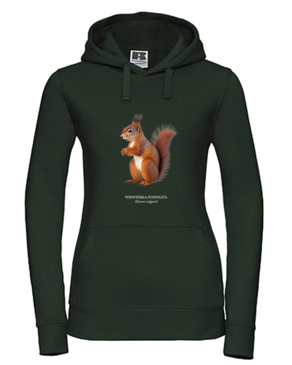 Wiewiórka pospolita - Sciurus vulgaris - Wiewiórka - Prezent dla przyrodnika - Prezent dla przyrodniczki - Bluza