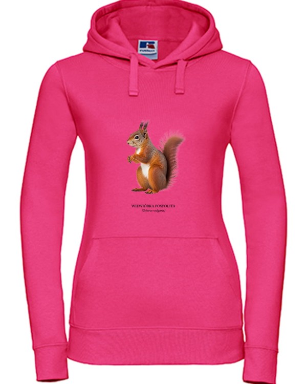 Wiewiórka pospolita - Sciurus vulgaris - Wiewiórka - Prezent dla przyrodnika - Prezent dla przyrodniczki - Bluza