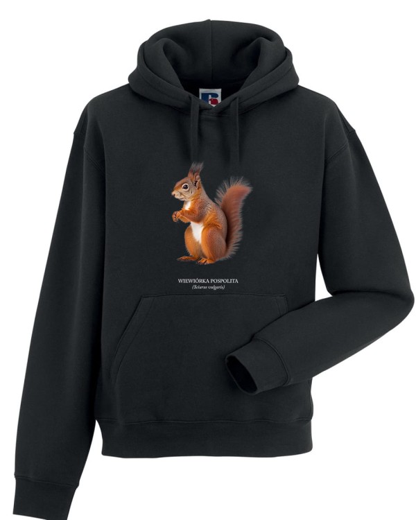 Wiewiórka pospolita - Sciurus vulgaris - Wiewiórka - Prezent dla przyrodnika - Prezent dla przyrodniczki - Bluza