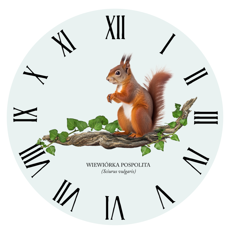 Wiewiórka pospolita - Sciurus vulgaris - Wiewiórka - Prezent dla przyrodnika - Prezent dla przyrodniczki - Zegar #2