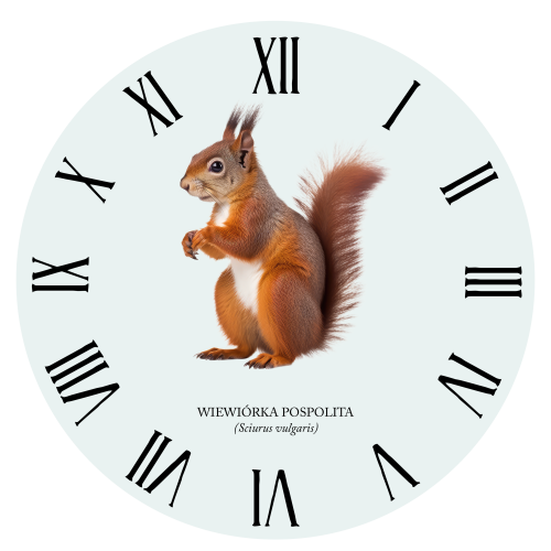 Wiewiórka pospolita - Sciurus vulgaris - Wiewiórka - Prezent dla przyrodnika - Prezent dla przyrodniczki - Zegar