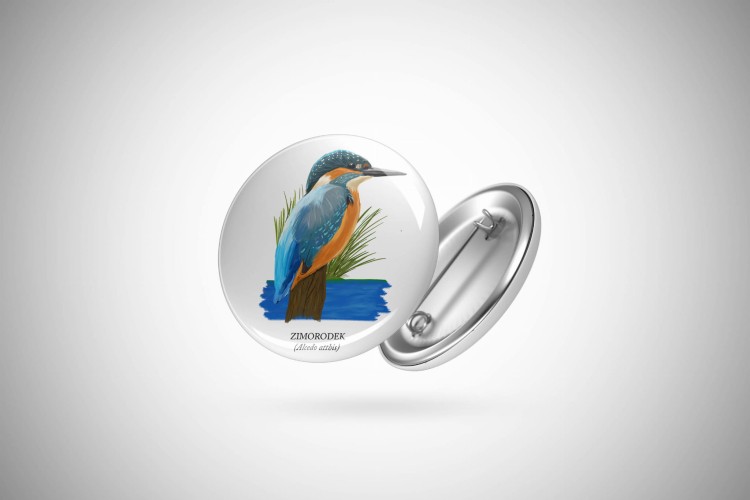 Zimorodek zwyczajny - Alcedo atthis – Zimorodek - prezent dla ornitologa - Przypinka - Prezent dla przyrodnika - Ptaki polski