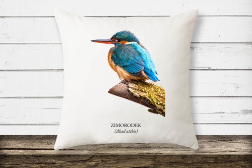 Zimorodek zwyczajny - Alcedo atthis – Zimorodek - prezent dla ornitologa - Poduszka #2
