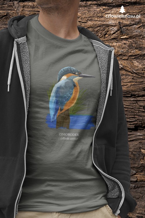 Zimorodek zwyczajny - Alcedo atthis – Zimorodek - prezent dla ornitologa - Koszulka