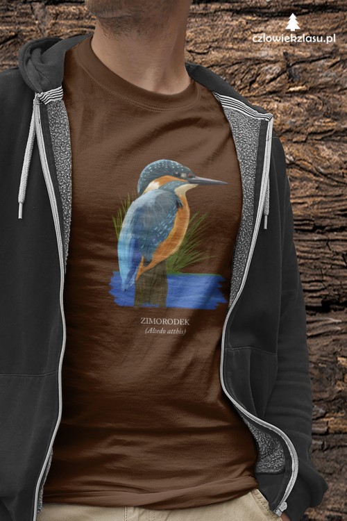 Zimorodek zwyczajny - Alcedo atthis – Zimorodek - prezent dla ornitologa - Koszulka