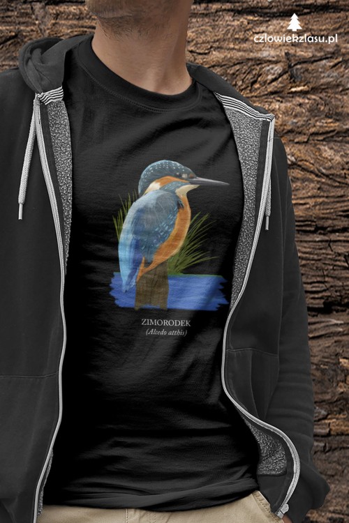 Zimorodek zwyczajny - Alcedo atthis – Zimorodek - prezent dla ornitologa - Koszulka