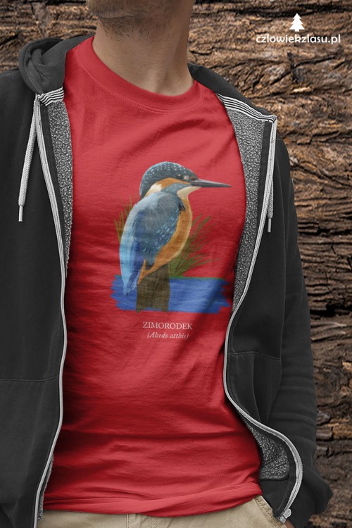 Zimorodek zwyczajny - Alcedo atthis – Zimorodek - prezent dla ornitologa - Koszulka