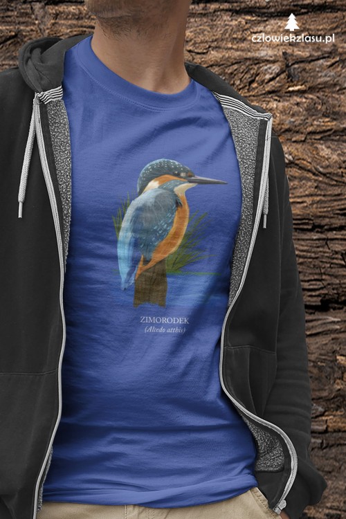 Zimorodek zwyczajny - Alcedo atthis – Zimorodek - prezent dla ornitologa - Koszulka