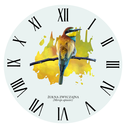 Żołna zwyczajna - Żołna pszczołojad - Merops apiaster - Żołna - prezent dla ornitologa – Prezent dla przyrodnika - Zegar