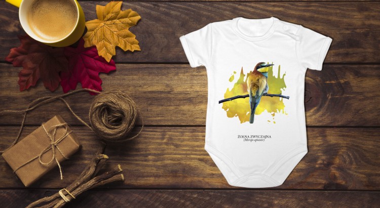 Żołna zwyczajna - Żołna pszczołojad - Merops apiaster - Żołna - prezent dla ornitologa – Prezent dla przyrodnika - Body - Bodziak