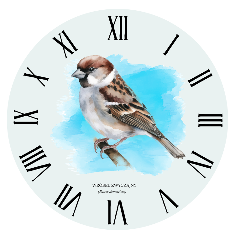 Wróbel domowy - Passer domesticus - Wróbel - prezent dla ornitologa – Prezent dla przyrodnika – Zegar z wróblem - Zegar