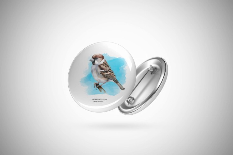 Wróbel domowy - Passer domesticus - Wróbel zwyczajny - Wróbel - prezent dla ornitologa – Prezent dla przyrodnika – Przypinka z wróblem - Przypinka