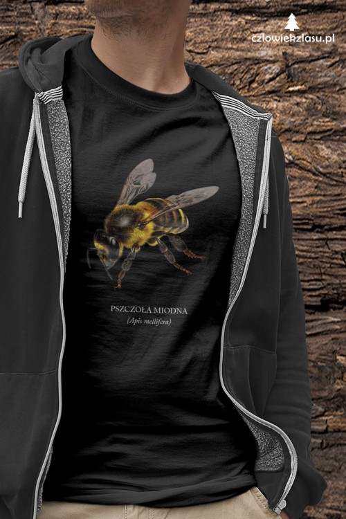 Pszczoła miodna - Apis mellifera - Pszczoła - prezent dla entomologa – Prezent dla pszczelarza – Koszulka z pszczołą – Koszulka