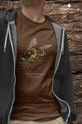 Pszczoła miodna - Apis mellifera - Pszczoła - prezent dla entomologa – Prezent dla pszczelarza – Koszulka z pszczołą – Koszulka