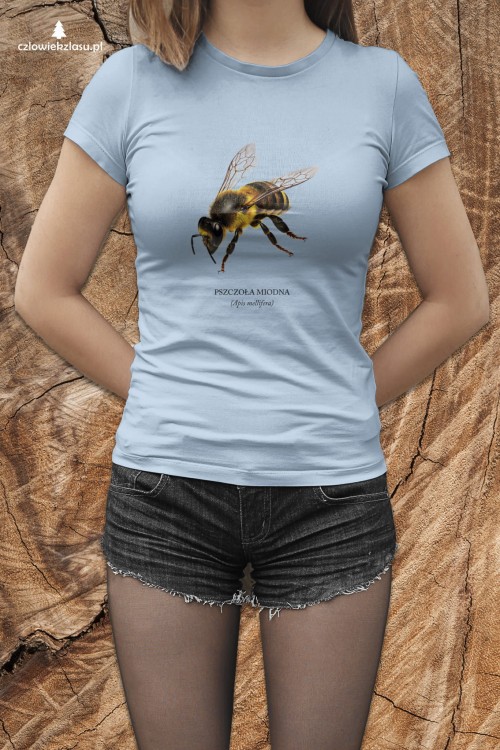 Pszczoła miodna - Apis mellifera - Pszczoła - prezent dla entomologa – Prezent dla pszczelarza – Koszulka z pszczołą – Koszulka