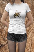 Pszczoła miodna - Apis mellifera - Pszczoła - prezent dla entomologa – Prezent dla pszczelarza – Koszulka z pszczołą – Koszulka