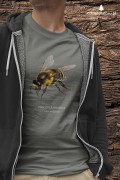 Pszczoła miodna - Apis mellifera - Pszczoła - prezent dla entomologa – Prezent dla pszczelarza – Koszulka z pszczołą – Koszulka