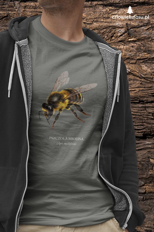Pszczoła miodna - Apis mellifera - Pszczoła - prezent dla entomologa – Prezent dla pszczelarza – Koszulka z pszczołą – Koszulka