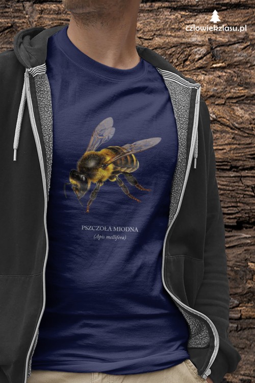 Pszczoła miodna - Apis mellifera - Pszczoła - prezent dla entomologa – Prezent dla pszczelarza – Koszulka z pszczołą – Koszulka