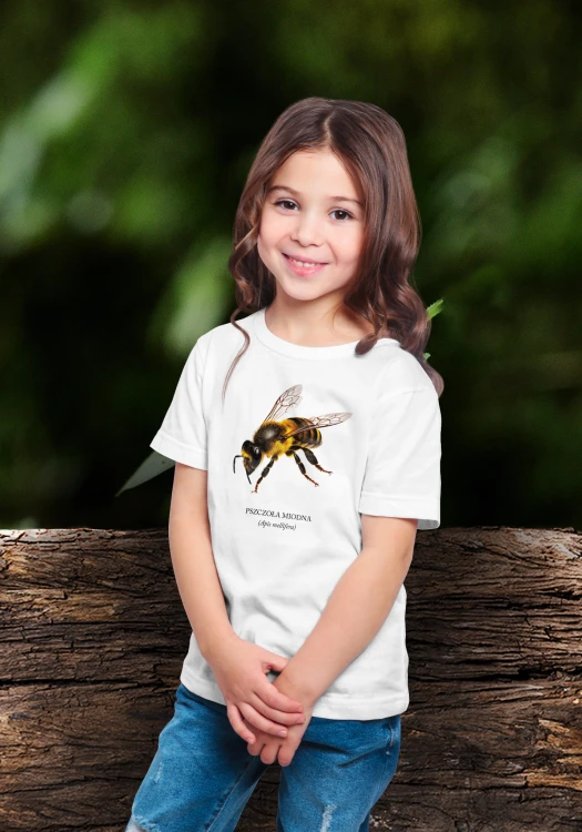 Pszczoła miodna - Apis mellifera - Pszczoła - prezent dla entomologa – Prezent dla pszczelarza – Koszulka z pszczołą – Koszulka dziecięca