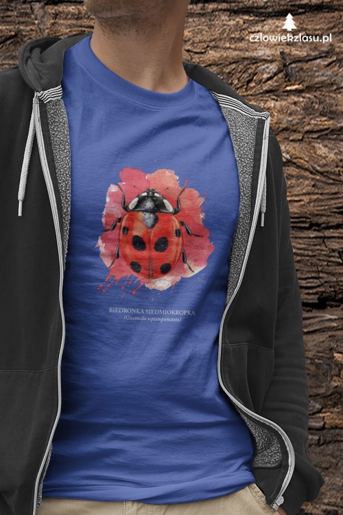 Biedronka siedmiokropka - Coccinella septempunctata - Biedronka - Prezent dla przyrodnika - Prezent dla entomologa - Koszulka z biedronką - Koszulka