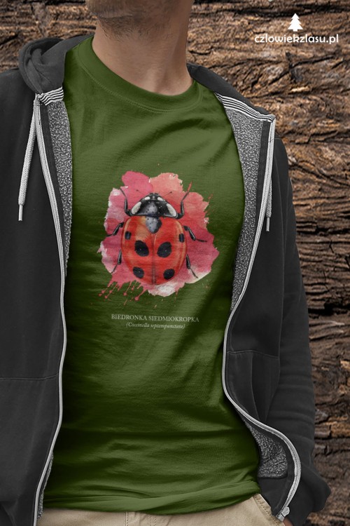 Biedronka siedmiokropka - Coccinella septempunctata - Biedronka - Prezent dla przyrodnika - Prezent dla entomologa - Koszulka z biedronką - Koszulka