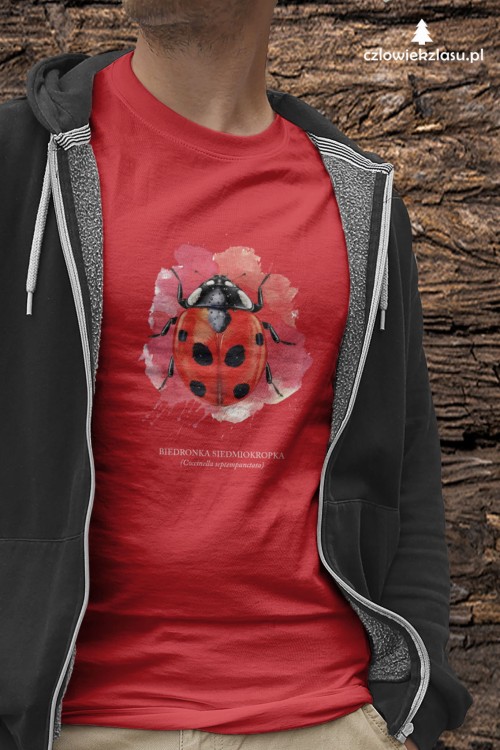Biedronka siedmiokropka - Coccinella septempunctata - Biedronka - Prezent dla przyrodnika - Prezent dla entomologa - Koszulka z biedronką - Koszulka