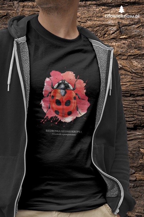 Biedronka siedmiokropka - Coccinella septempunctata - Biedronka - Prezent dla przyrodnika - Prezent dla entomologa - Koszulka z biedronką - Koszulka