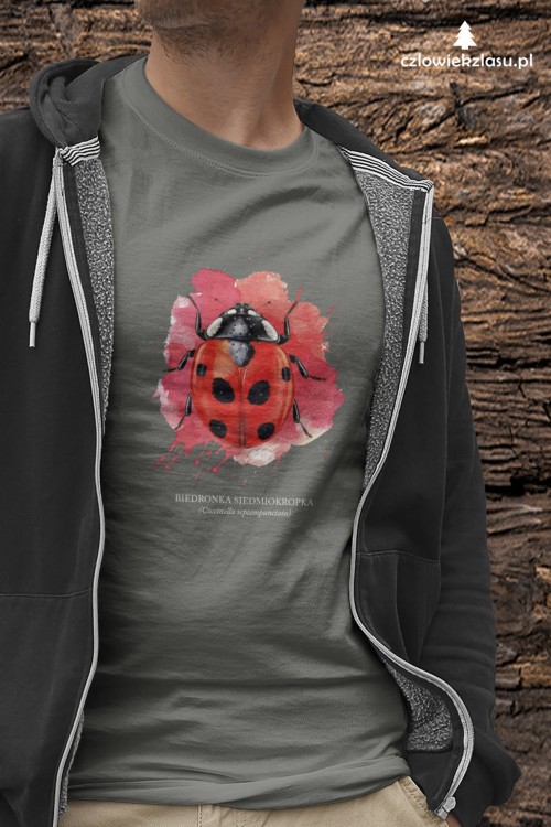 Biedronka siedmiokropka - Coccinella septempunctata - Biedronka - Prezent dla przyrodnika - Prezent dla entomologa - Koszulka z biedronką - Koszulka